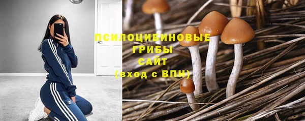 скорость mdpv Бронницы